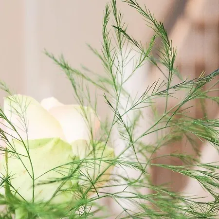 Norddeich-stern Apartment Norddeich (Norden)